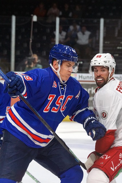 上的多面贡 上的多面贡