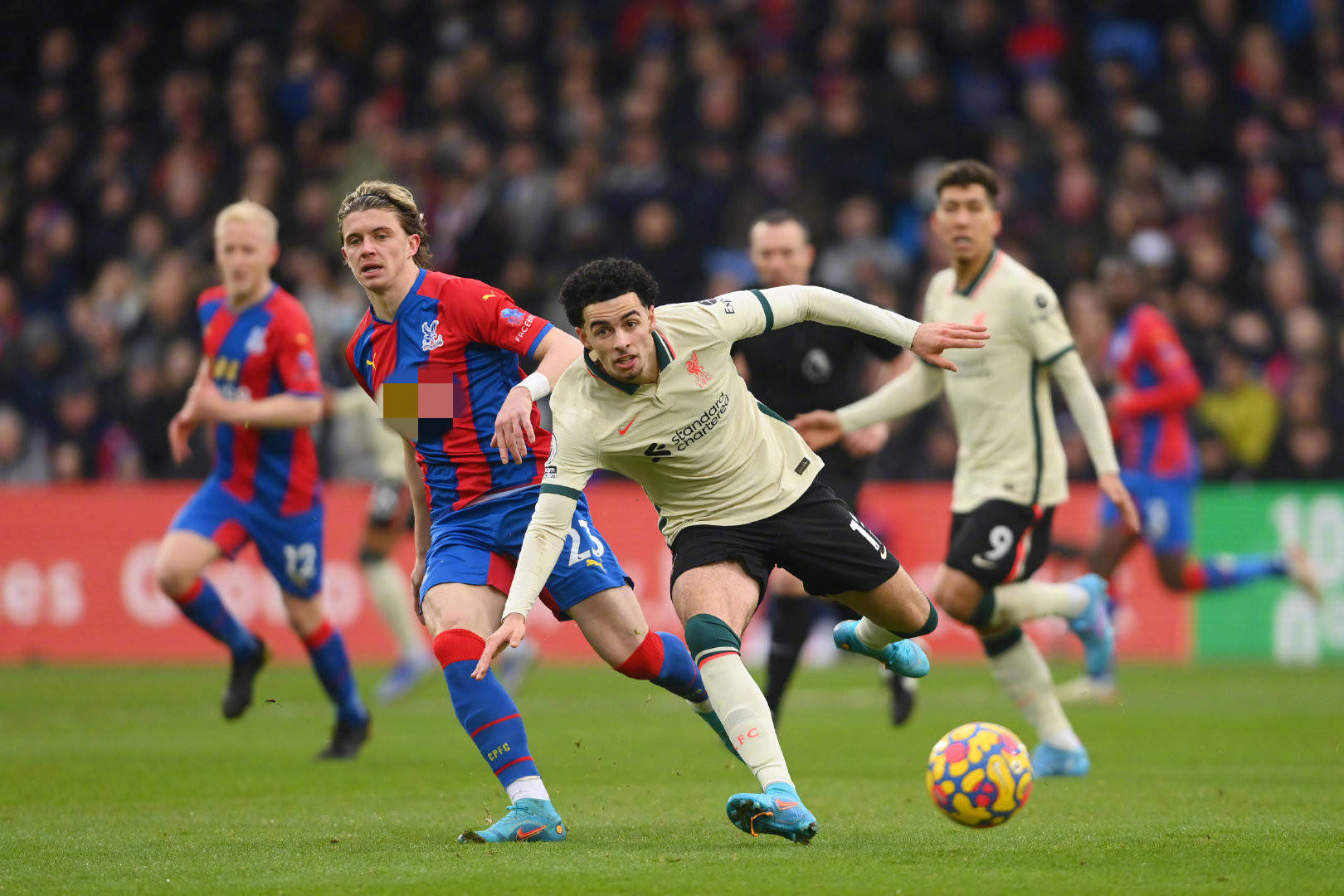 郭沫洋更依 郭沫洋更依